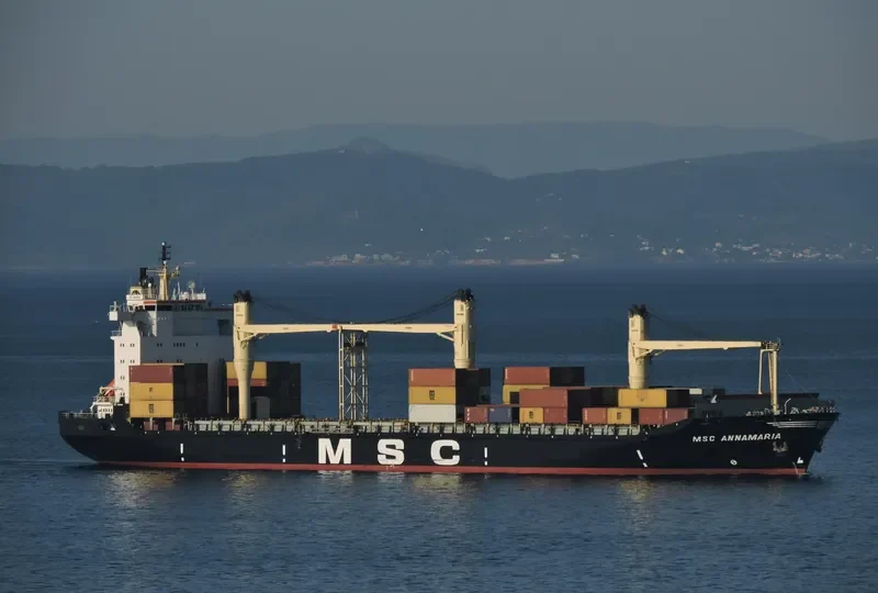 MSC ANNAMARIA Container Ship IMO 8521402 photo 4