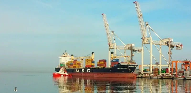 MSC ANNAMARIA Container Ship IMO 8521402 photo 6
