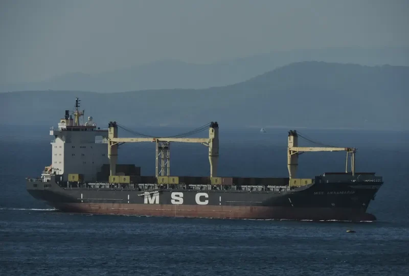 MSC ANNAMARIA Container Ship IMO 8521402 photo 7