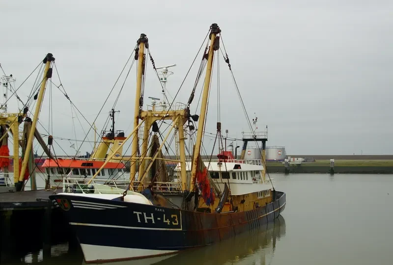 TH 43 MARIA General Cargo IMO 8521737