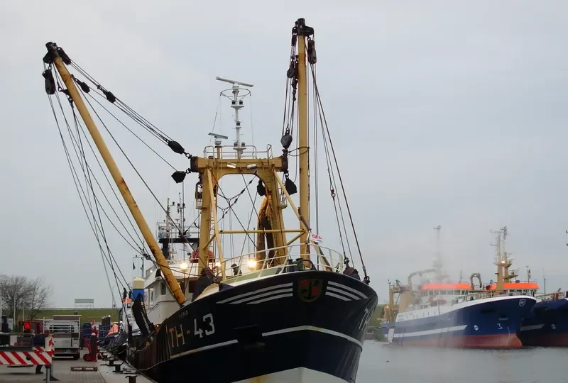 TH 43 MARIA General Cargo IMO 8521737 photo 2