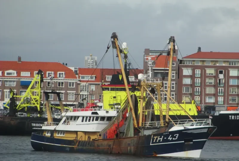 TH 43 MARIA General Cargo IMO 8521737 photo 3