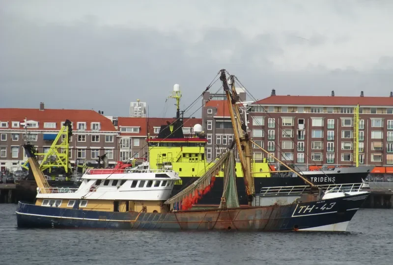 TH 43 MARIA General Cargo IMO 8521737 photo 4