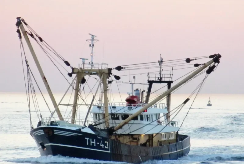 TH 43 MARIA General Cargo IMO 8521737 photo 6