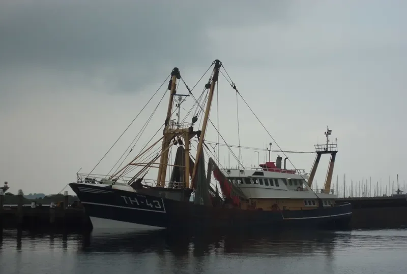 TH 43 MARIA General Cargo IMO 8521737 photo 9