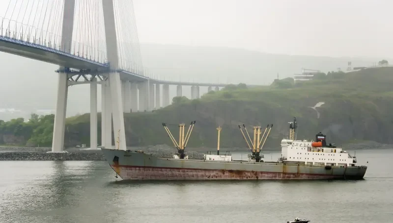 ICEBERG General Cargo IMO 8521804 photo 8