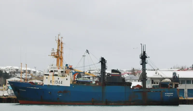 OSTANKINO General Cargo IMO 8522157