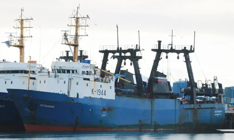 OSTANKINO General Cargo IMO 8522157 photo 2