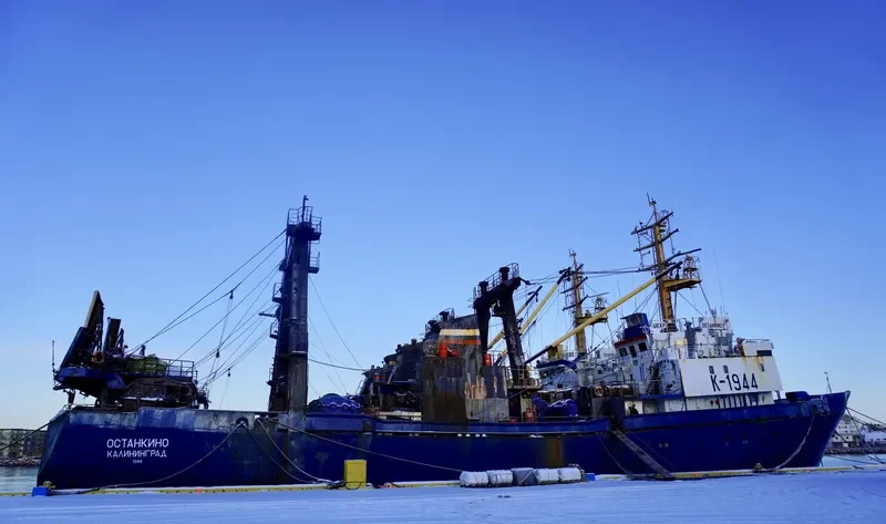 OSTANKINO General Cargo IMO 8522157 photo 7