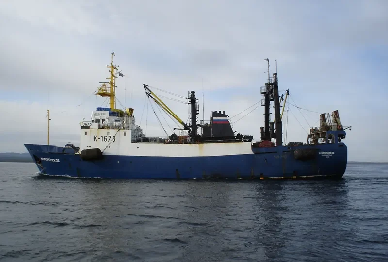 FLIPPER X General Cargo IMO 8522298 photo 5