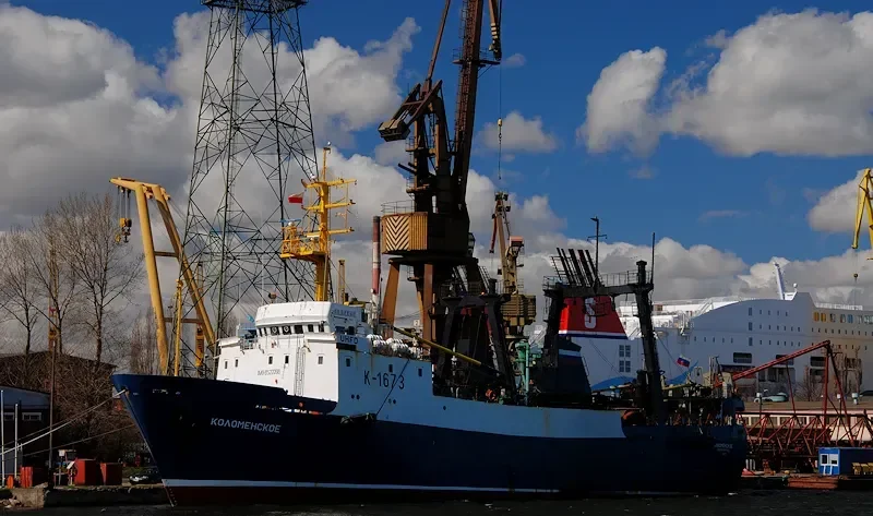 FLIPPER X General Cargo IMO 8522298 photo 6