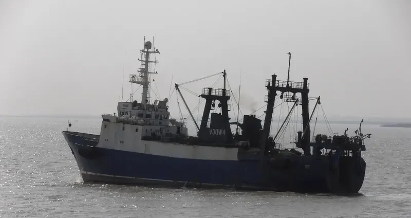 FLIPPER X General Cargo IMO 8522298 photo 7