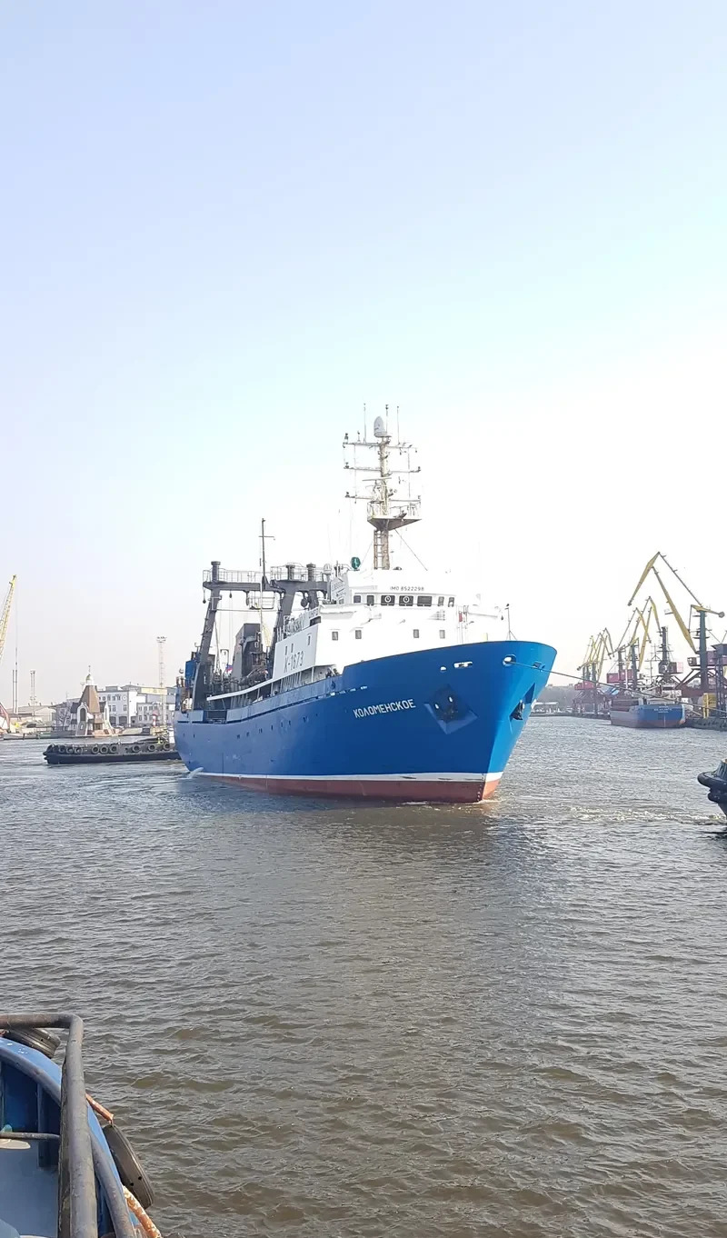 FLIPPER X General Cargo IMO 8522298 photo 10