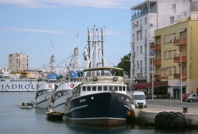 PEGASUS I General Cargo IMO 8523230