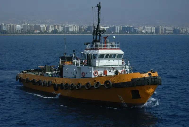 PEGASUS I General Cargo IMO 8523230 photo 2