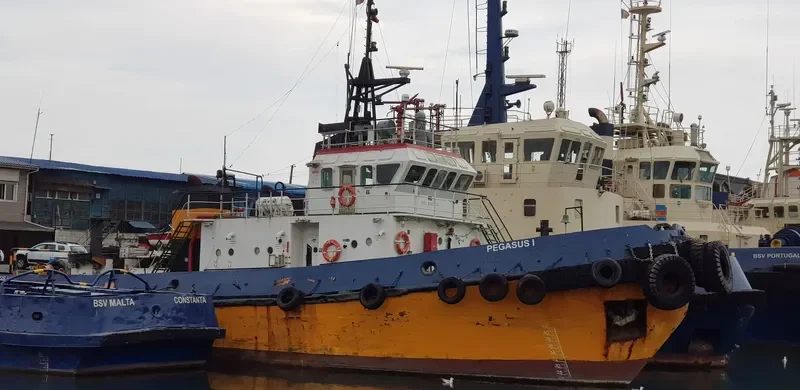 PEGASUS I General Cargo IMO 8523230 photo 4