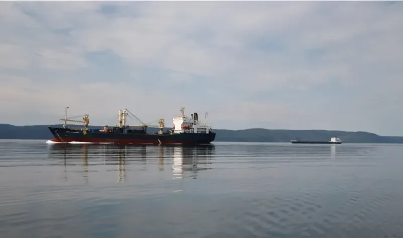 ANNA DESGAGNES Ro-Ro IMO 8600507 photo 2