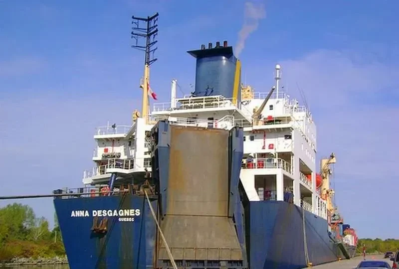 ANNA DESGAGNES Ro-Ro IMO 8600507 photo 5