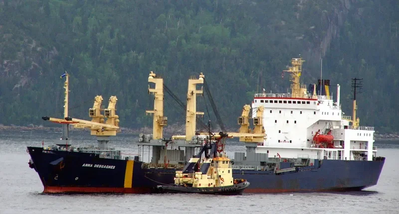 ANNA DESGAGNES Ro-Ro IMO 8600507 photo 6