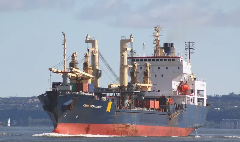 ANNA DESGAGNES Ro-Ro IMO 8600507 photo 8