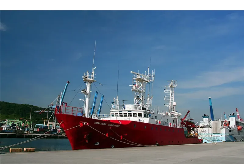 NORTHERN ENDEAVOUR General Cargo IMO 8602438