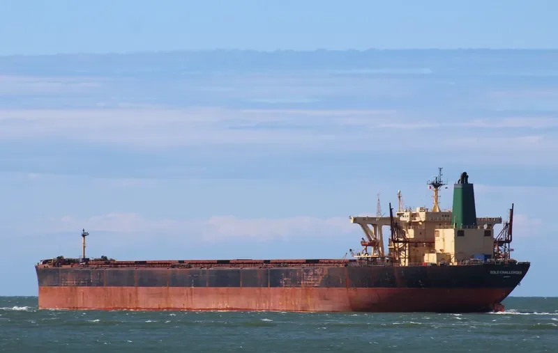 BOLD CHALLENGER Bulk Carrier IMO 8602476 photo 6