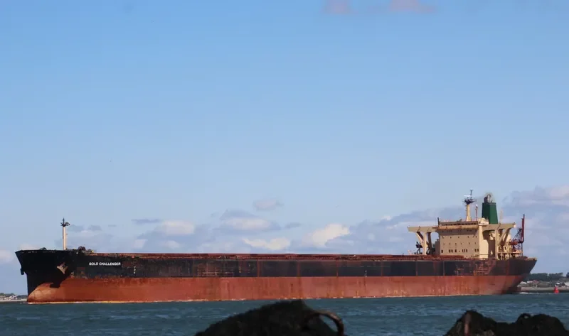 BOLD CHALLENGER Bulk Carrier IMO 8602476 photo 7