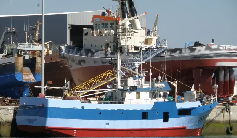 MAR PORTUGUES General Cargo IMO 8602610 photo 4