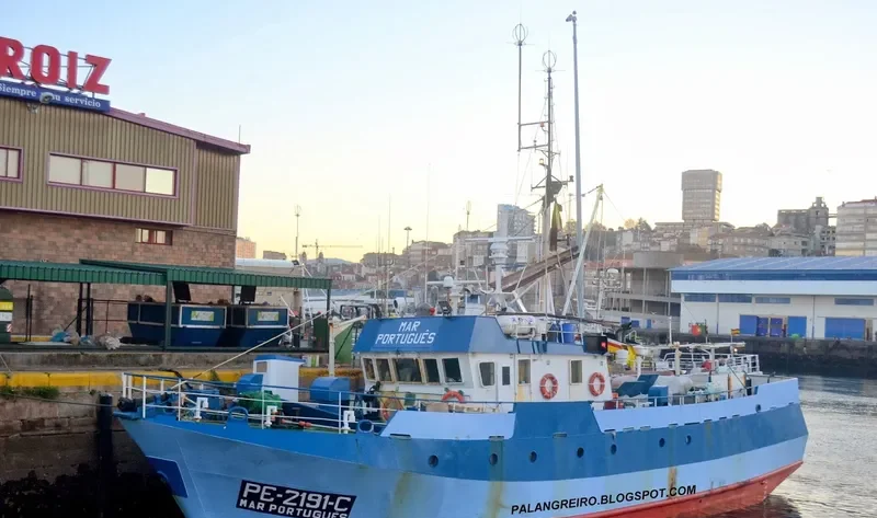 MAR PORTUGUES General Cargo IMO 8602610 photo 5