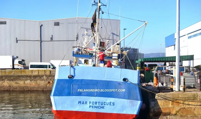 MAR PORTUGUES General Cargo IMO 8602610 photo 6
