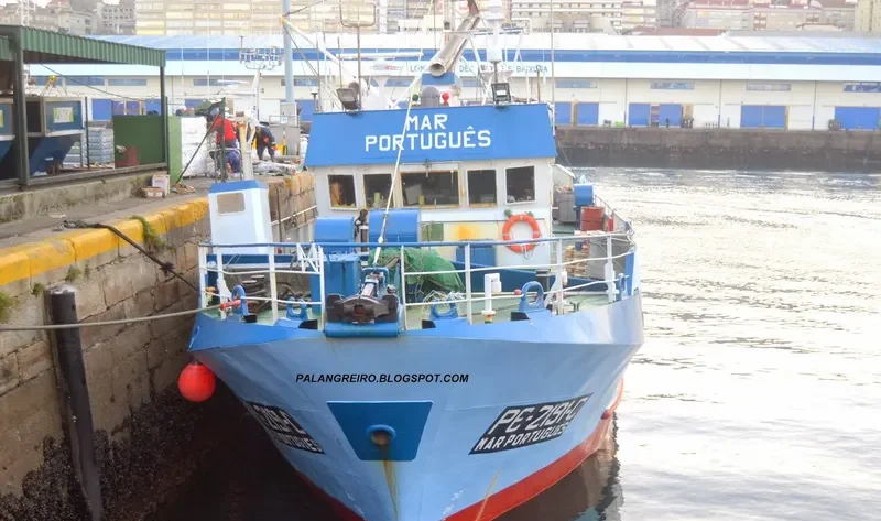 MAR PORTUGUES General Cargo IMO 8602610 photo 7