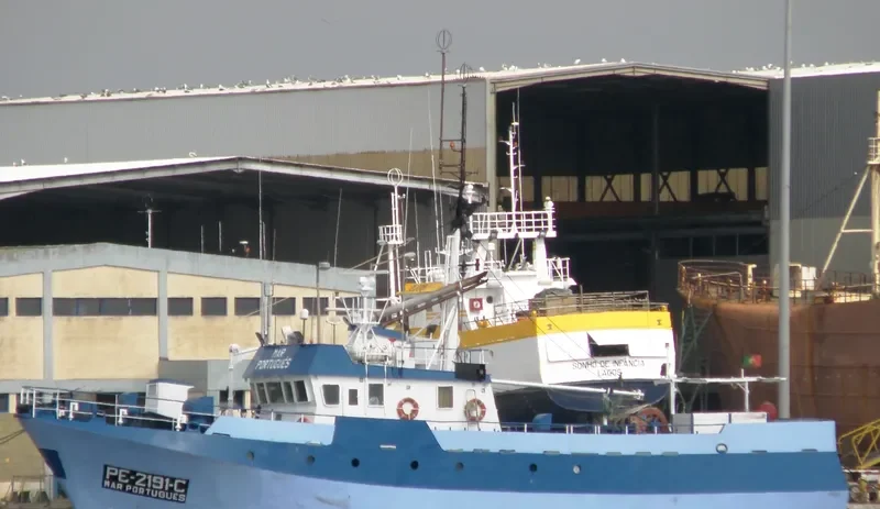 MAR PORTUGUES General Cargo IMO 8602610 photo 8
