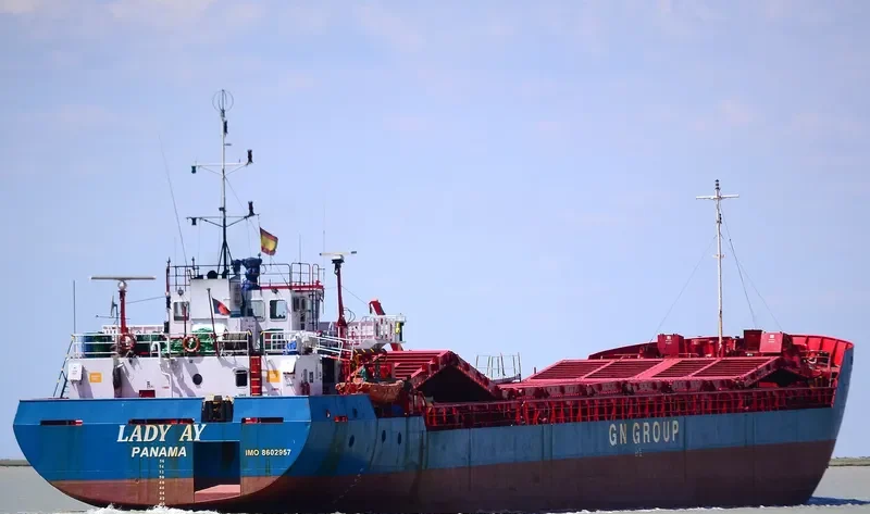 VERA General Cargo IMO 8602957 photo 9