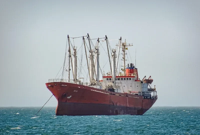 GRIPO General Cargo IMO 8603133 photo 2