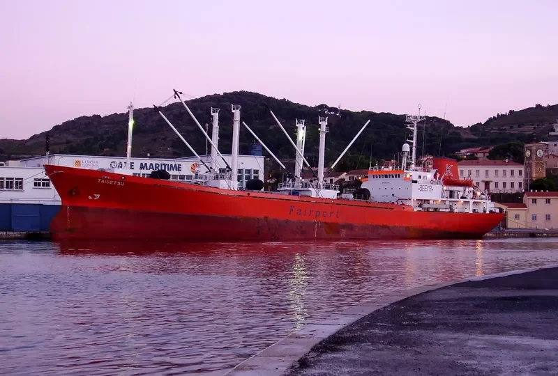 GRIPO General Cargo IMO 8603133 photo 6