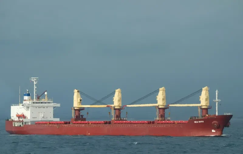 SEA BOSS Bulk Carrier IMO 8603224