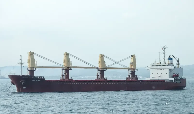 SEA BOSS Bulk Carrier IMO 8603224 photo 2