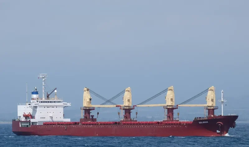 SEA BOSS Bulk Carrier IMO 8603224 photo 3