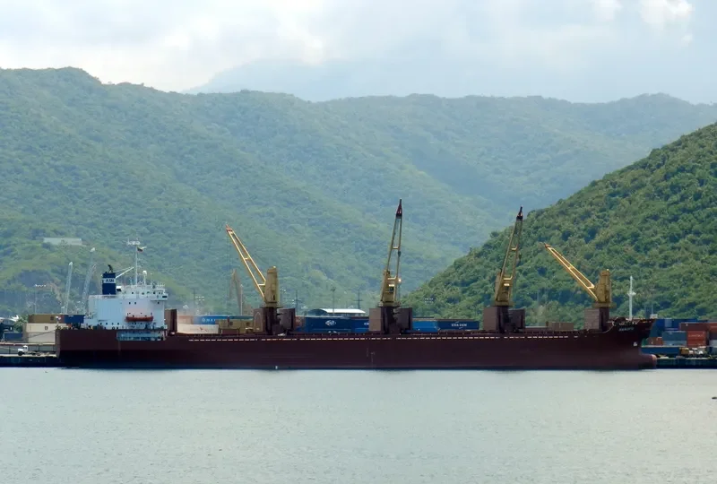 SEA BOSS Bulk Carrier IMO 8603224 photo 4