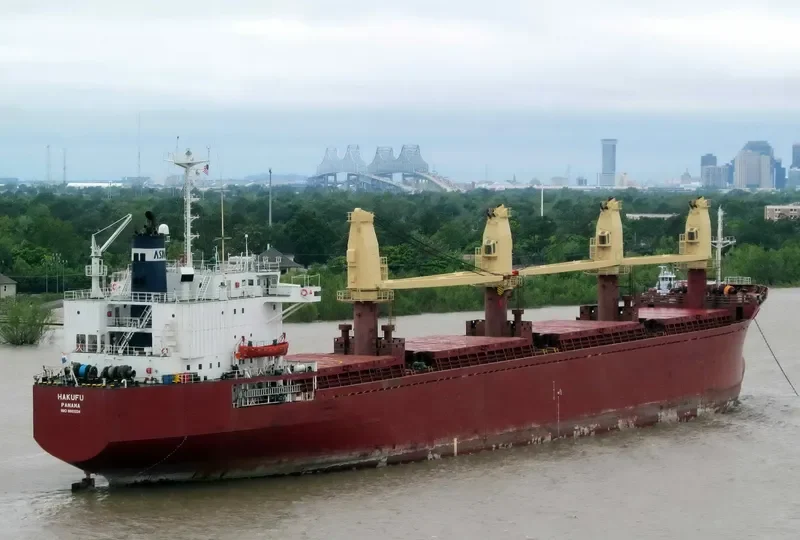 SEA BOSS Bulk Carrier IMO 8603224 photo 5
