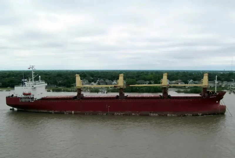 SEA BOSS Bulk Carrier IMO 8603224 photo 7