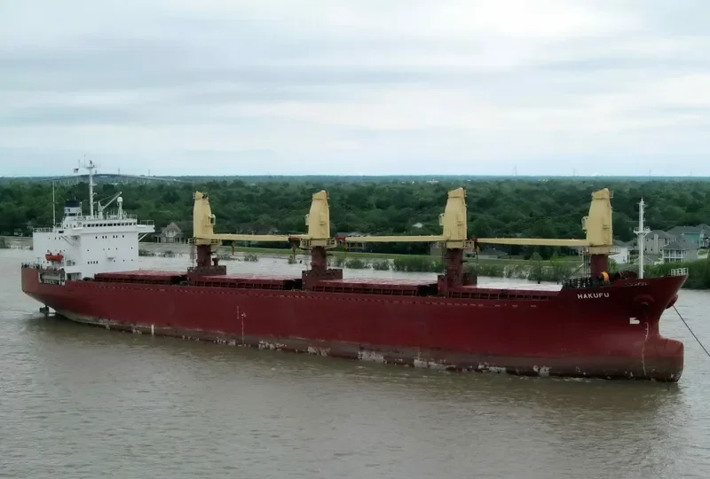 SEA BOSS Bulk Carrier IMO 8603224 photo 8
