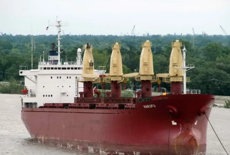SEA BOSS Bulk Carrier IMO 8603224 photo 9
