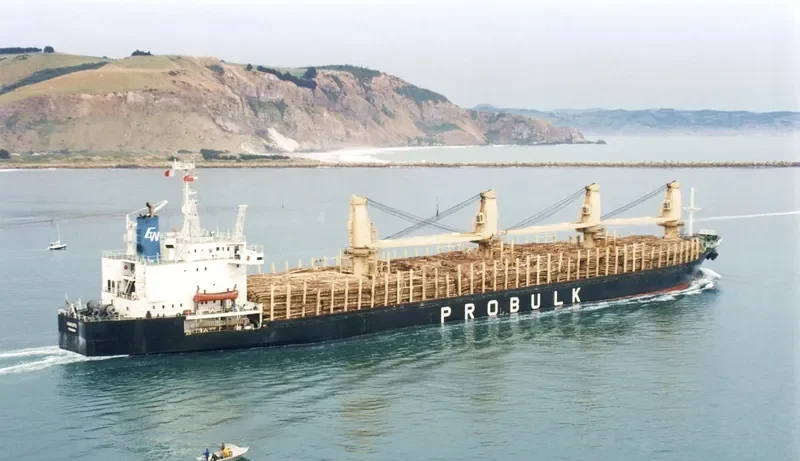 SEA BOSS Bulk Carrier IMO 8603224 photo 10