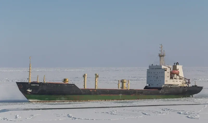 UK SEA VII General Cargo IMO 8603353 photo 4