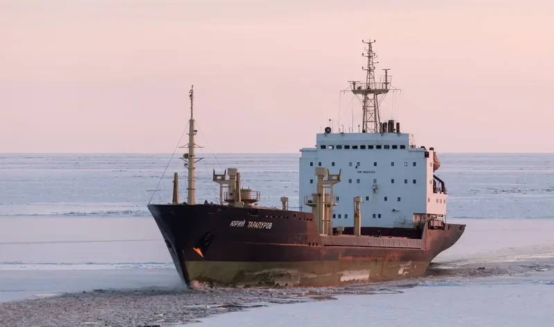 UK SEA VII General Cargo IMO 8603353 photo 5
