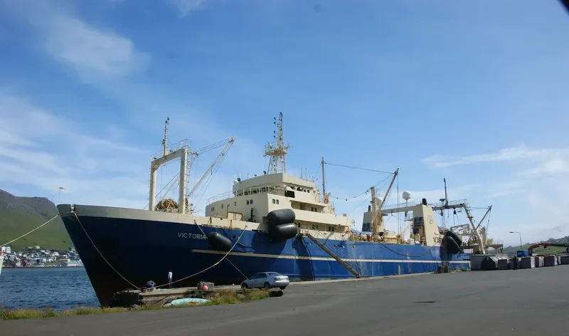 VICTORIA General Cargo IMO 8604058 photo 4