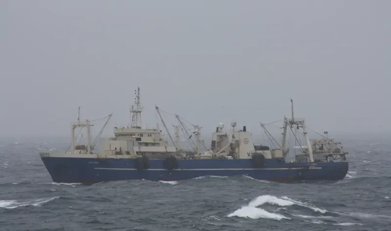 VICTORIA General Cargo IMO 8604058 photo 7