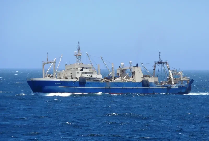 VICTORIA General Cargo IMO 8604058 photo 9