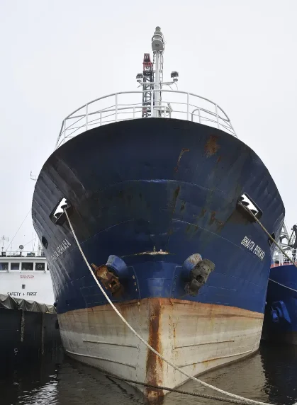 BHAITA PERKASA General Cargo IMO 8604319